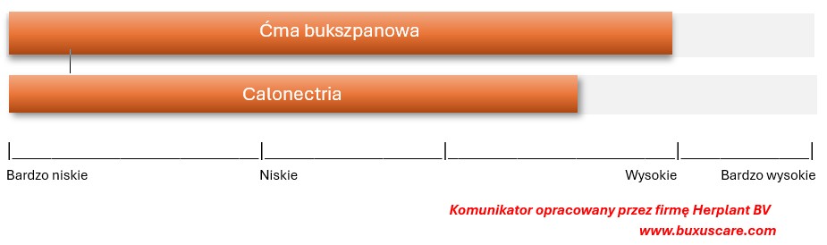 wskaźnik zagrożeń infekcji bukszpanu