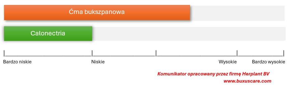 ćma bukszpanowa zagrożenia.